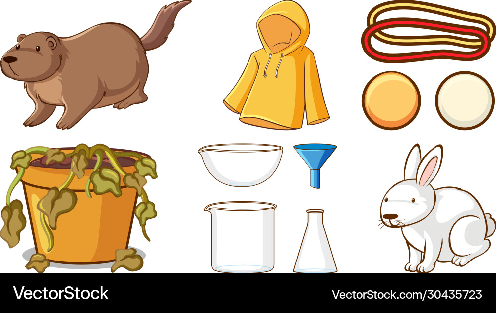 Large set different animals and other objects Large set different animals and other objects vector image