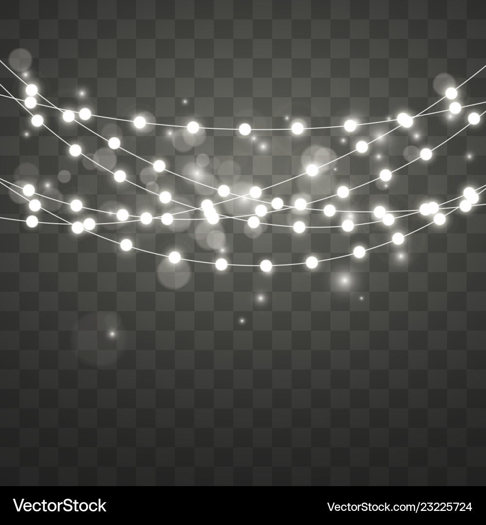 Christmas Lights Bokeh Garland vector image