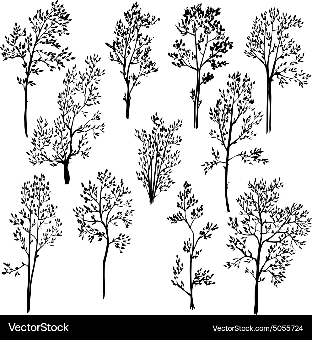 Spring Tree Collection vector image