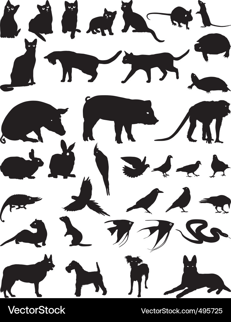 Pet Silhouettes - Animals & Wildlife vector image