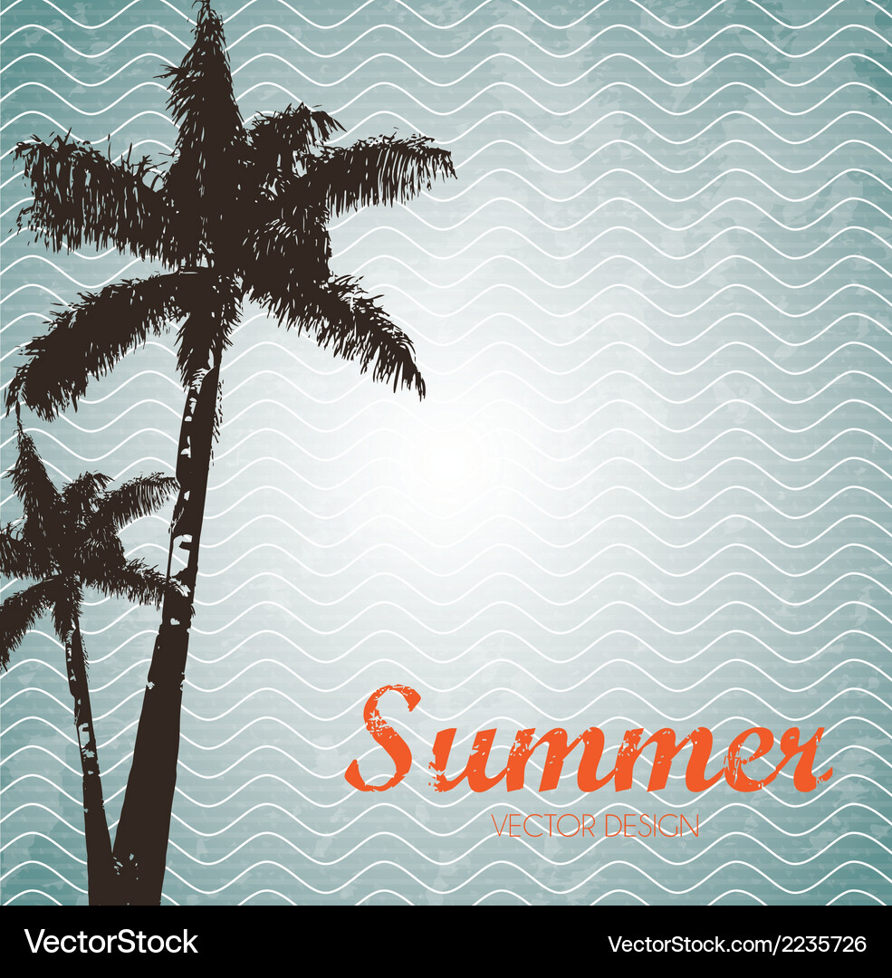 Summer design over pattern background Vector Image