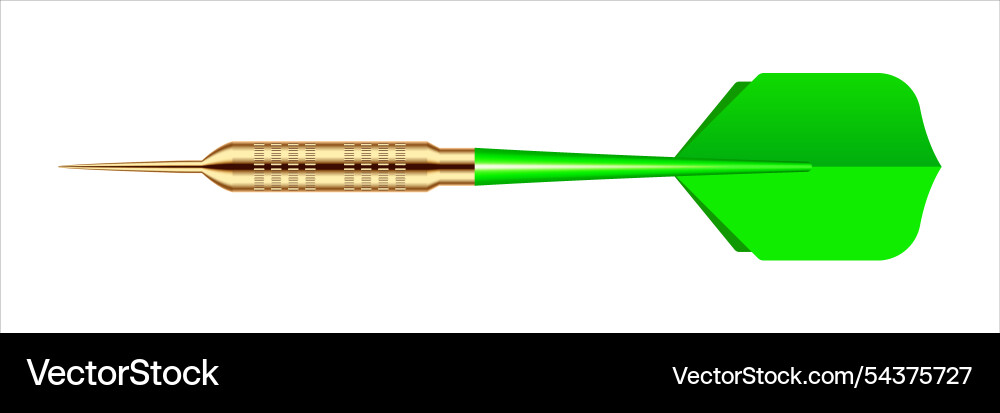 Dart arrow with metal tip and shadow Dart arrow with metal tip and shadow vector image