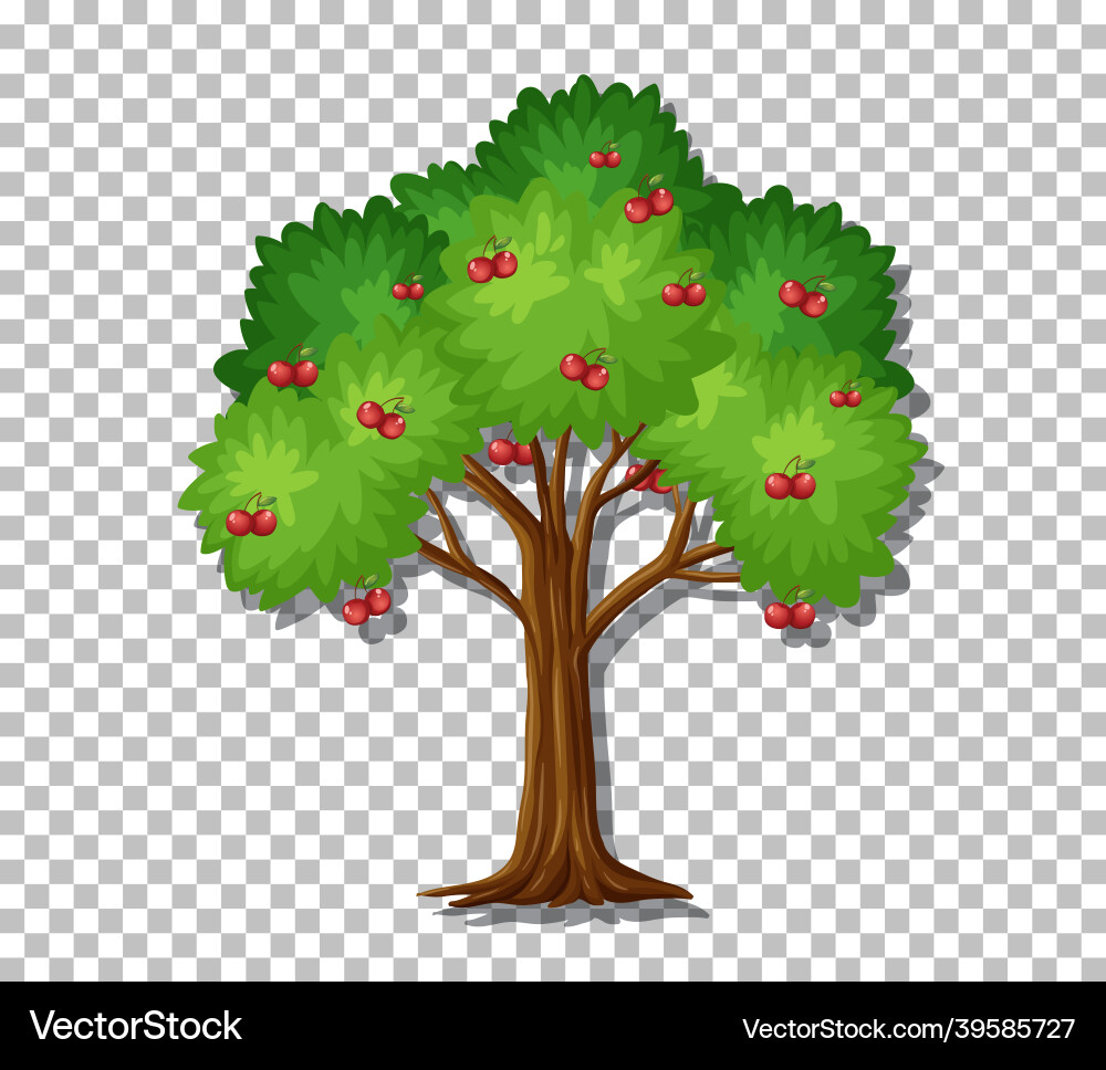 Tree on transparent background Vector Image