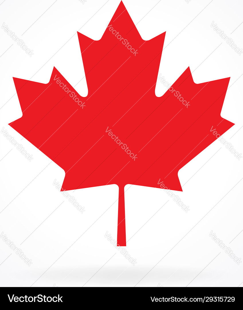 Canadian Maple Leaf Vector Image