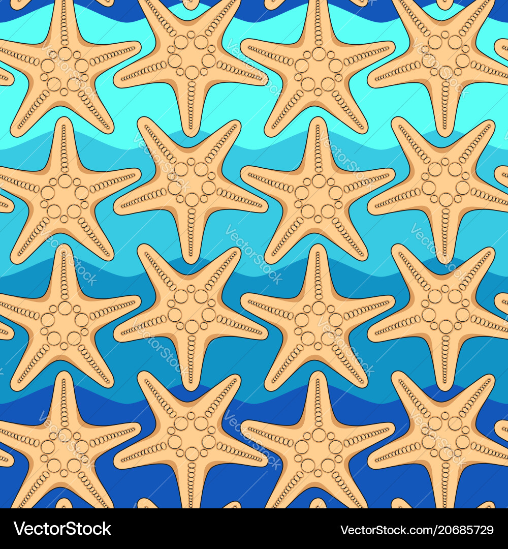 Seamless pattern with starfish on a background vector image