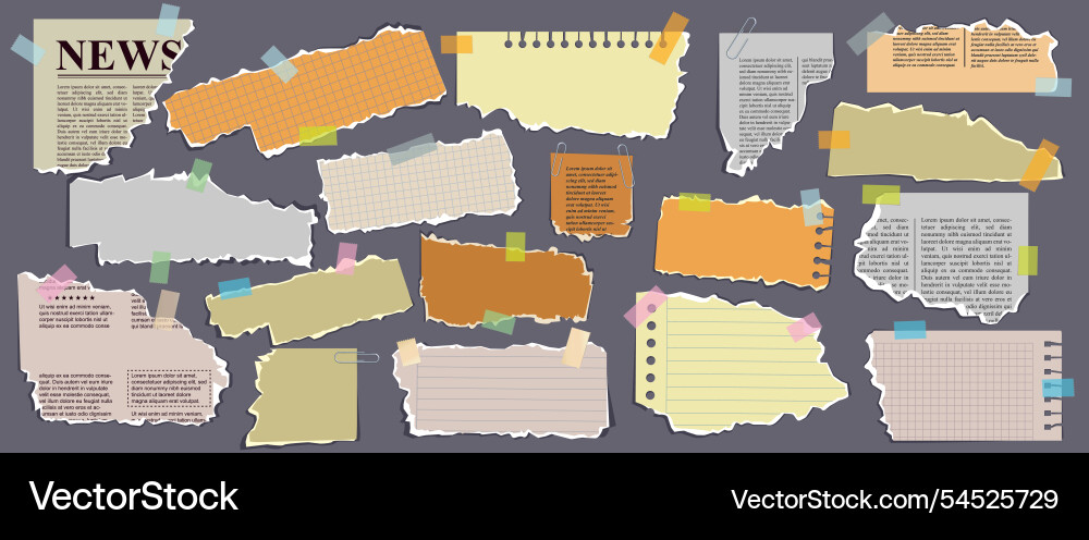 Set of torn paper notebook sheets and old Set of torn paper notebook sheets and old Vector Image