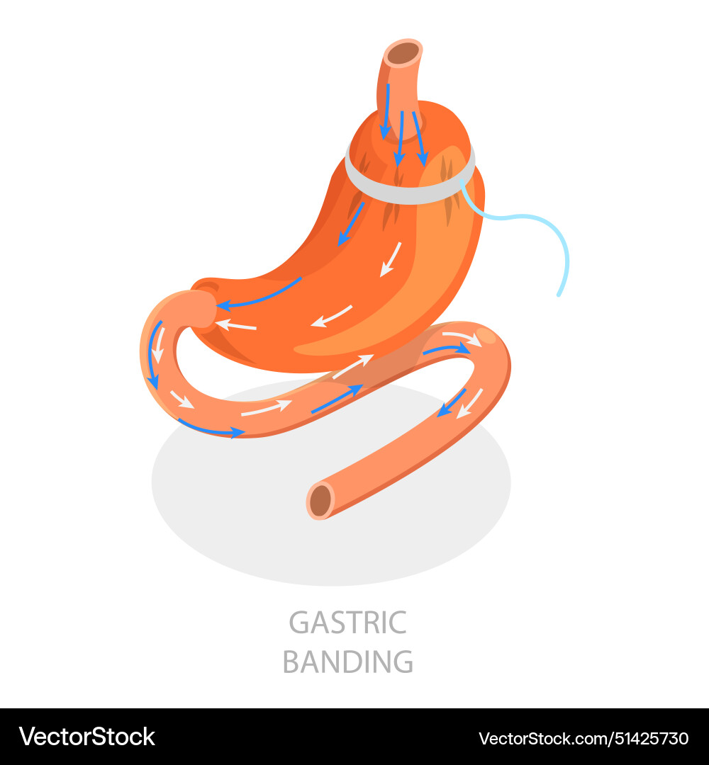 3d isometric flat of types Royalty Free Vector Image