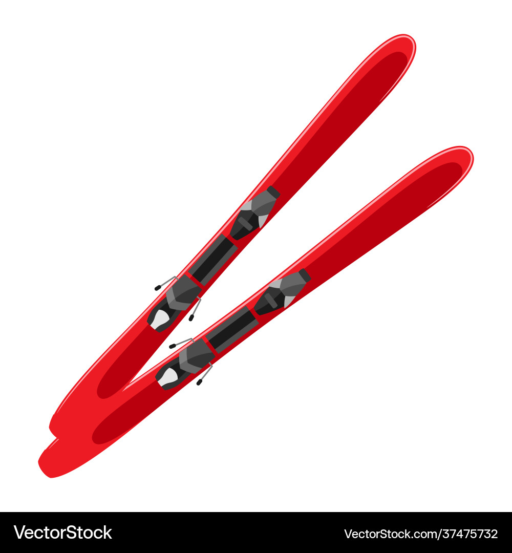Ski Icon - Winter Sport Vector Image