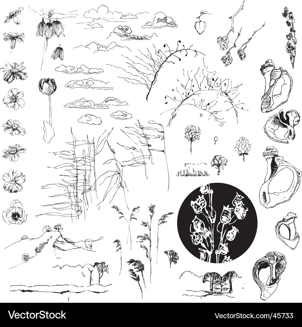 Ink sketch collection Vector Image