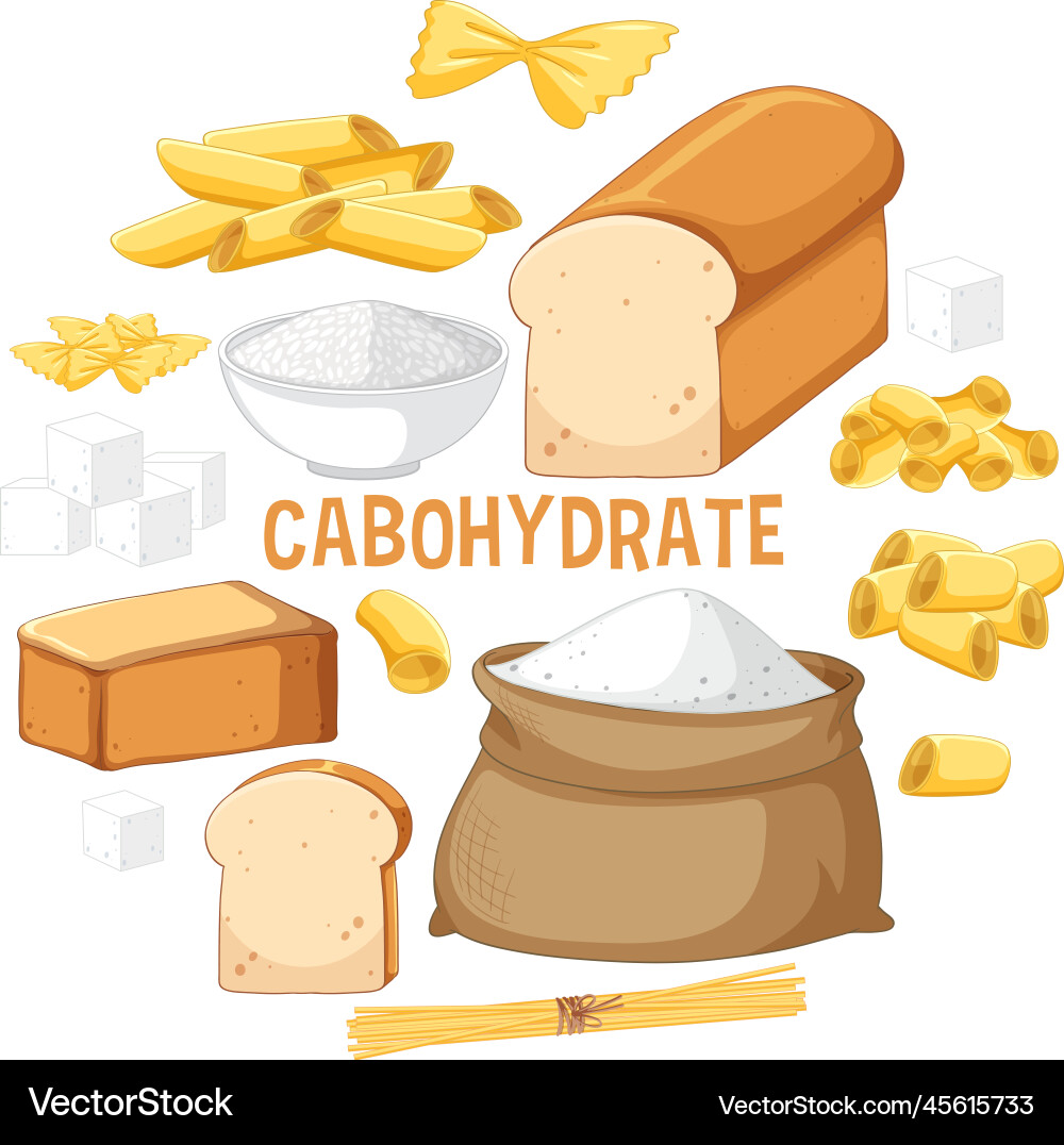 Variety of carbohydrates foods Vector Image