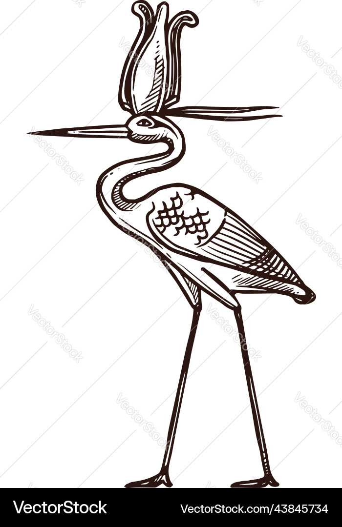 Ancient egypt bennu heron sacred deity in sketch vector image