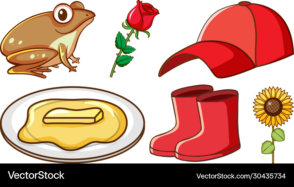 Large set different animals and other objects Large set different animals and other objects vector image