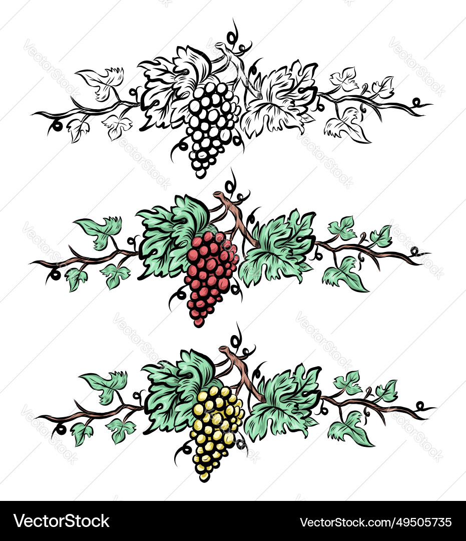 Grape vine set elements vintage hand drawn wine Grape vine set elements vintage hand drawn wine vector image