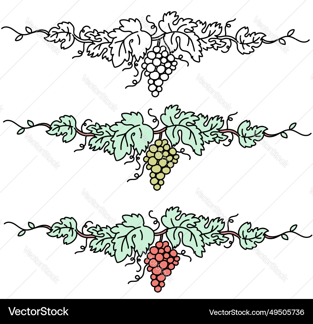 Grape vine set vintage ink hand drawn wine Grape vine set vintage ink hand drawn wine vector image