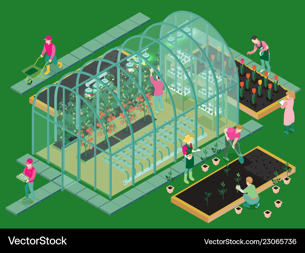 Greenhouse isometric composition Royalty Free Vector Image