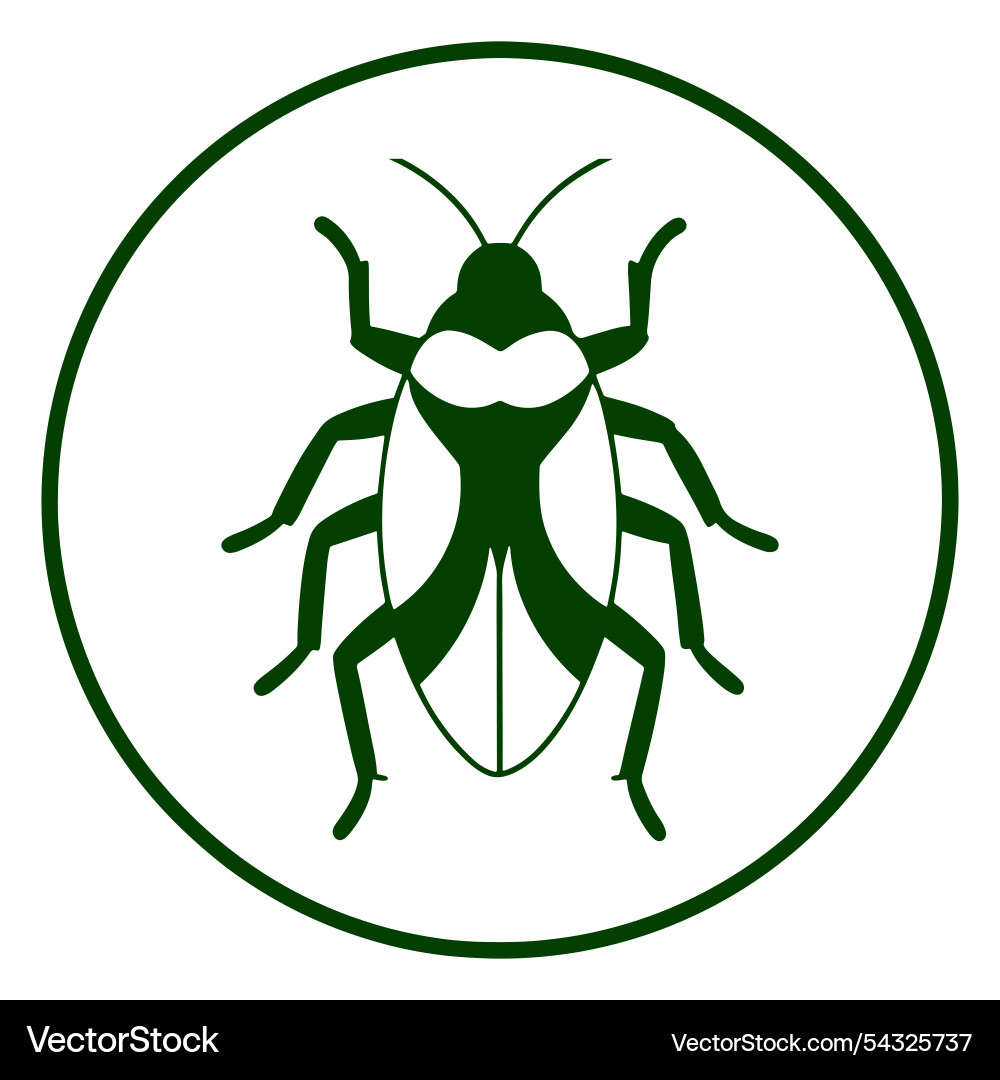 Cockroach for projects Vector Image
