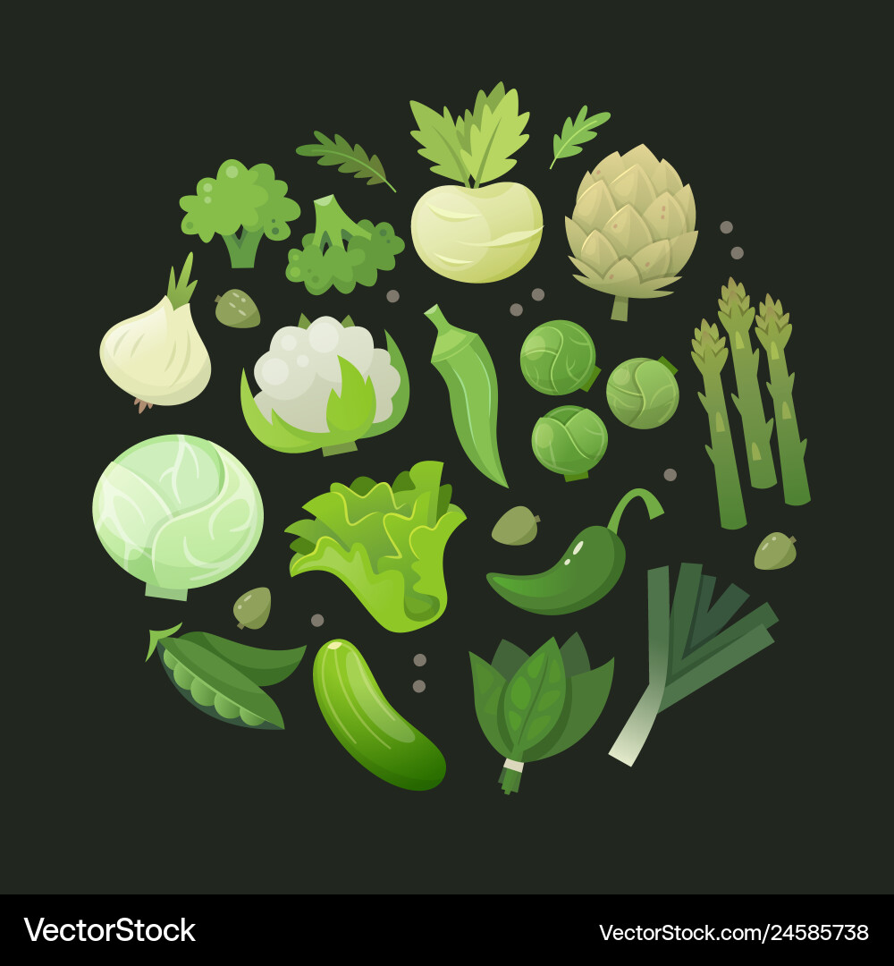 Fresh green vegetables arranged in circle Fresh green vegetables arranged in circle vector image