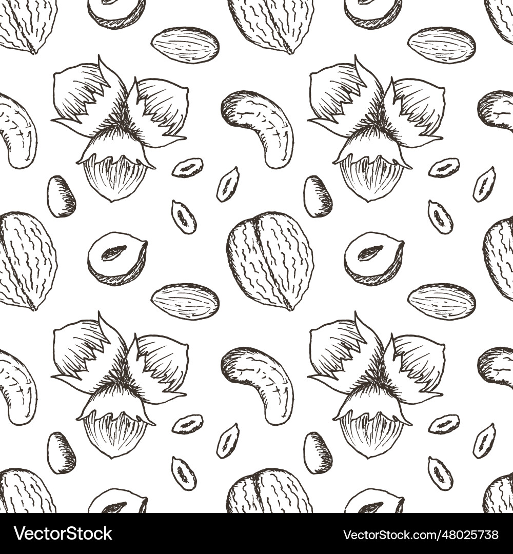 Seamless pattern with a variety of nuts Seamless pattern with a variety of nuts vector image