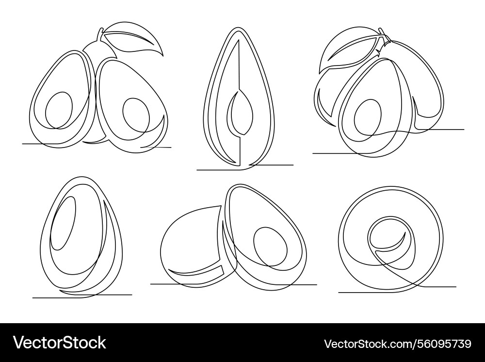 Avocado continuous one line drawing set Avocado continuous one line drawing set Vector Image