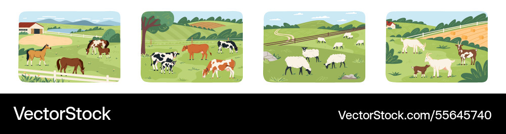 Livestock including cows horses and sheep graze Livestock including cows horses and sheep graze vector image