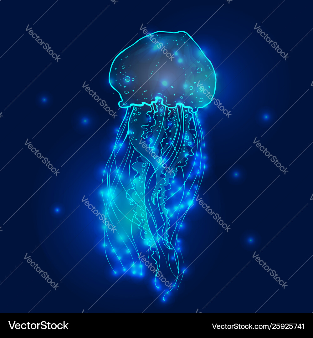 Transparent glowing neon blue and turquoise medusa Transparent glowing neon blue and turquoise medusa vector image