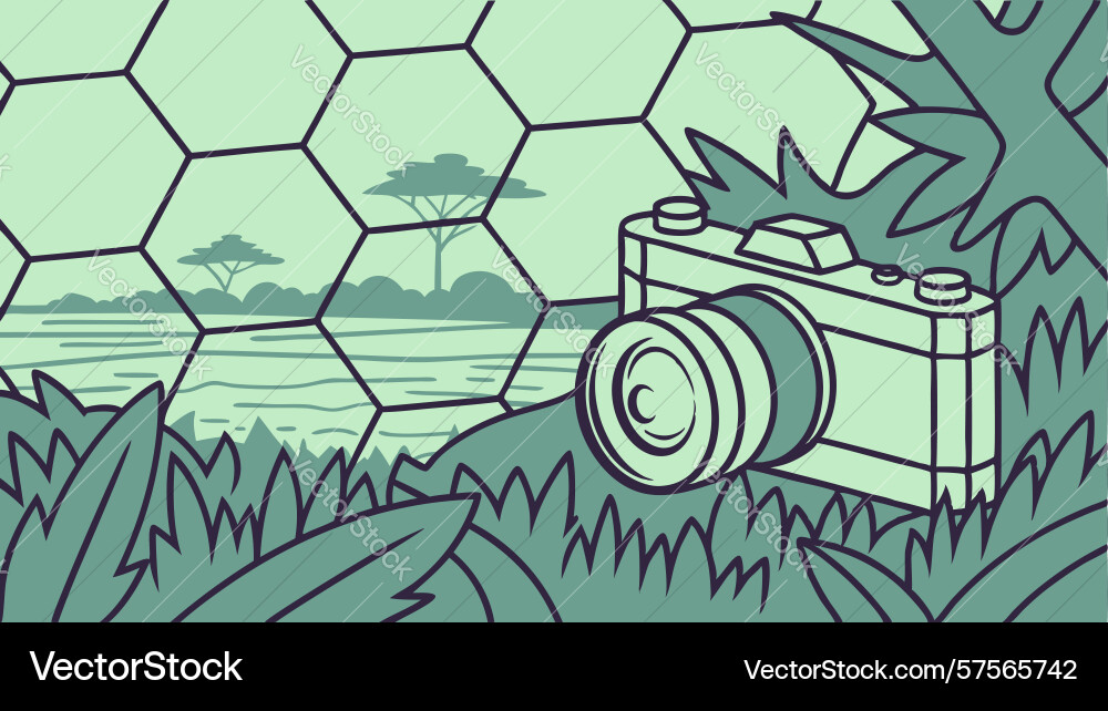 Retro camera in hexagonal patterned landscape vector image