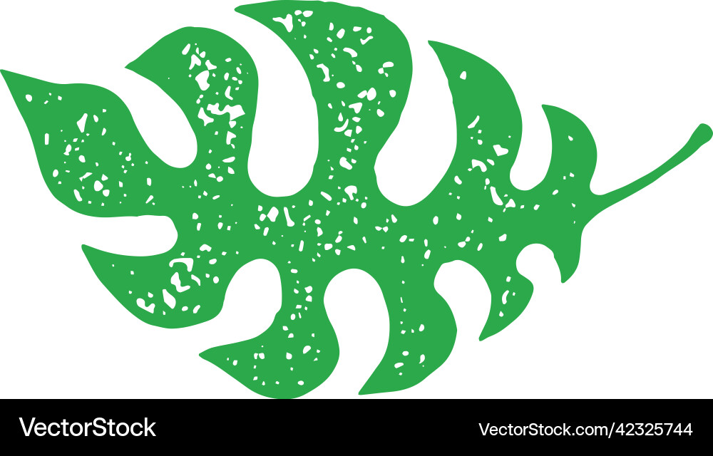 Horizontal fern natural tropical plant ornamental Horizontal fern natural tropical plant ornamental vector image