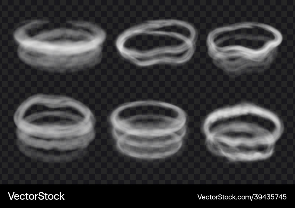 Realistic wind steam or smoke circles swirls Realistic wind steam or smoke circles swirls vector image