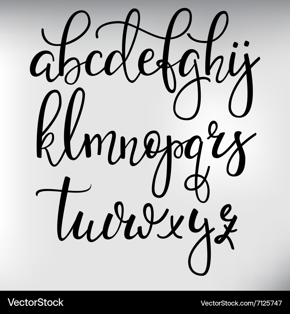Elegant Calligraphy Font - Cursive Script vector image