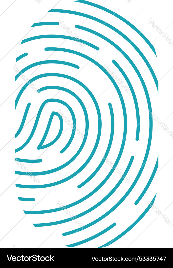 Fingerprint showing unique identity and security Fingerprint showing unique identity and security vector image