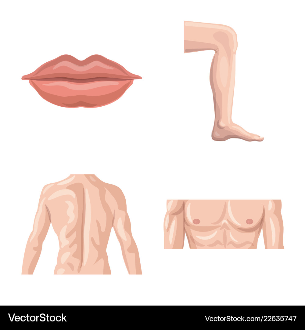Isolated object of human and part symbol set Isolated object of human and part symbol set vector image