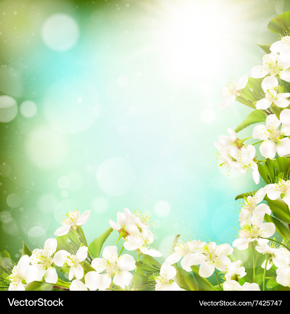 Spring border background eps 10 vector image