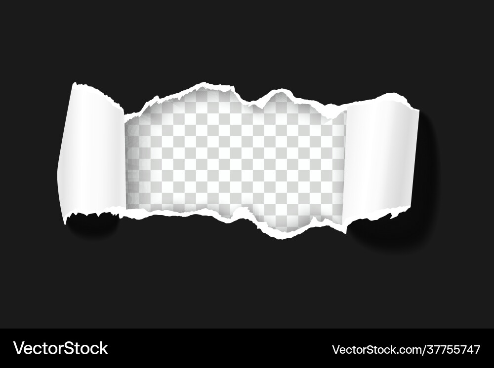 Torn Paper Roll - Transparent Background vector image