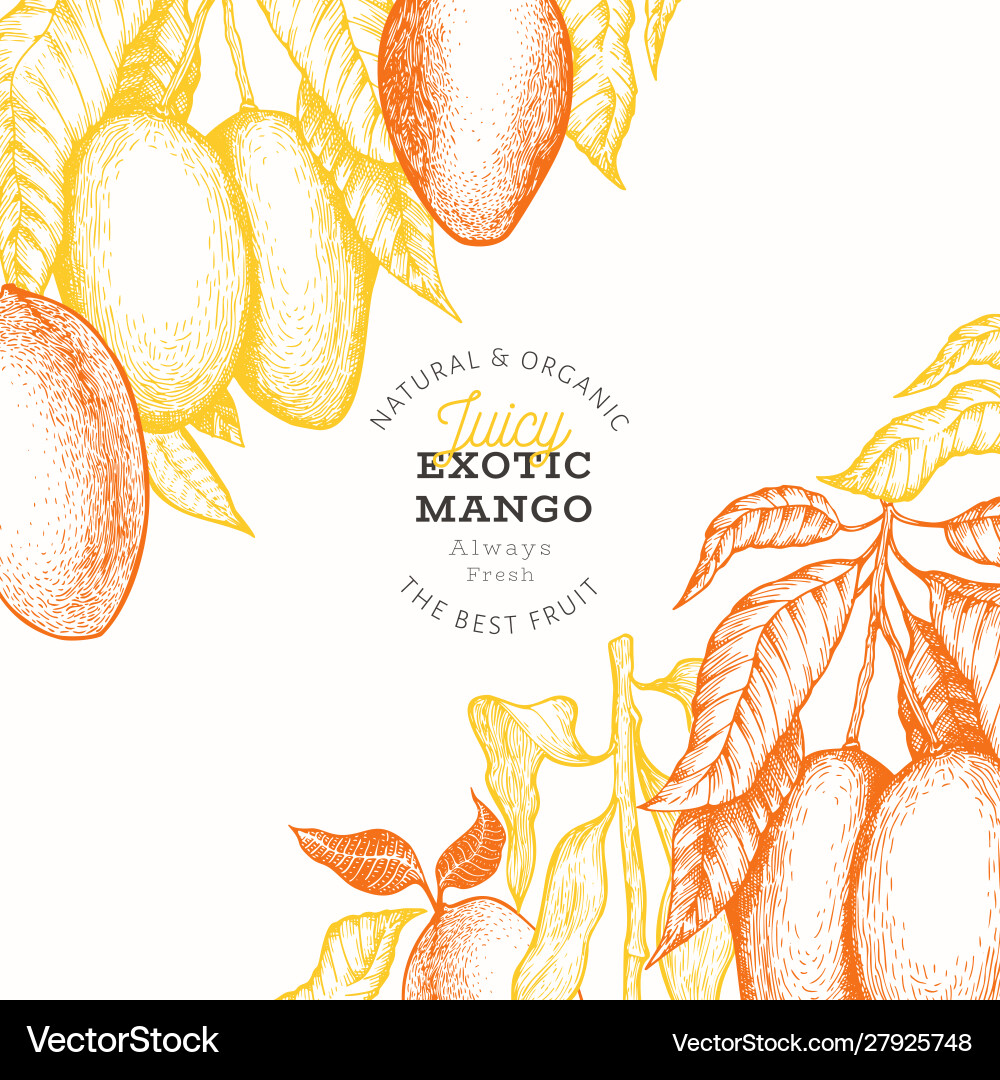 Mango design template hand drawn tropic fruit Mango design template hand drawn tropic fruit vector image