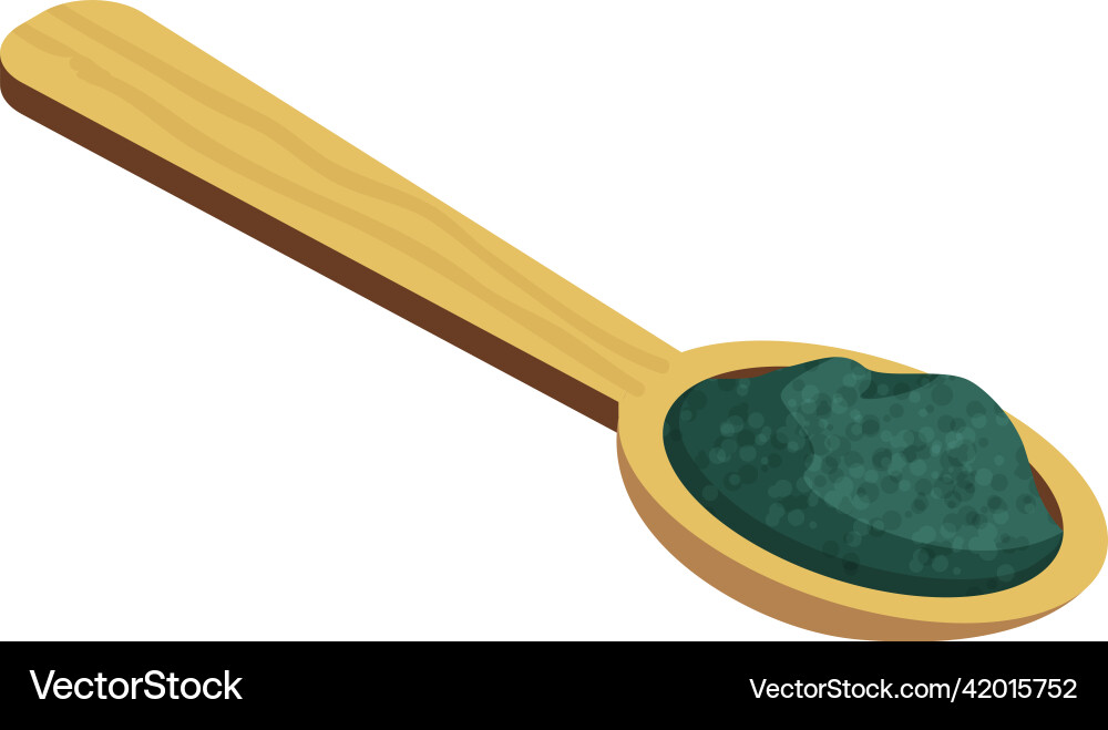 Spoon of spirulina composition vector image