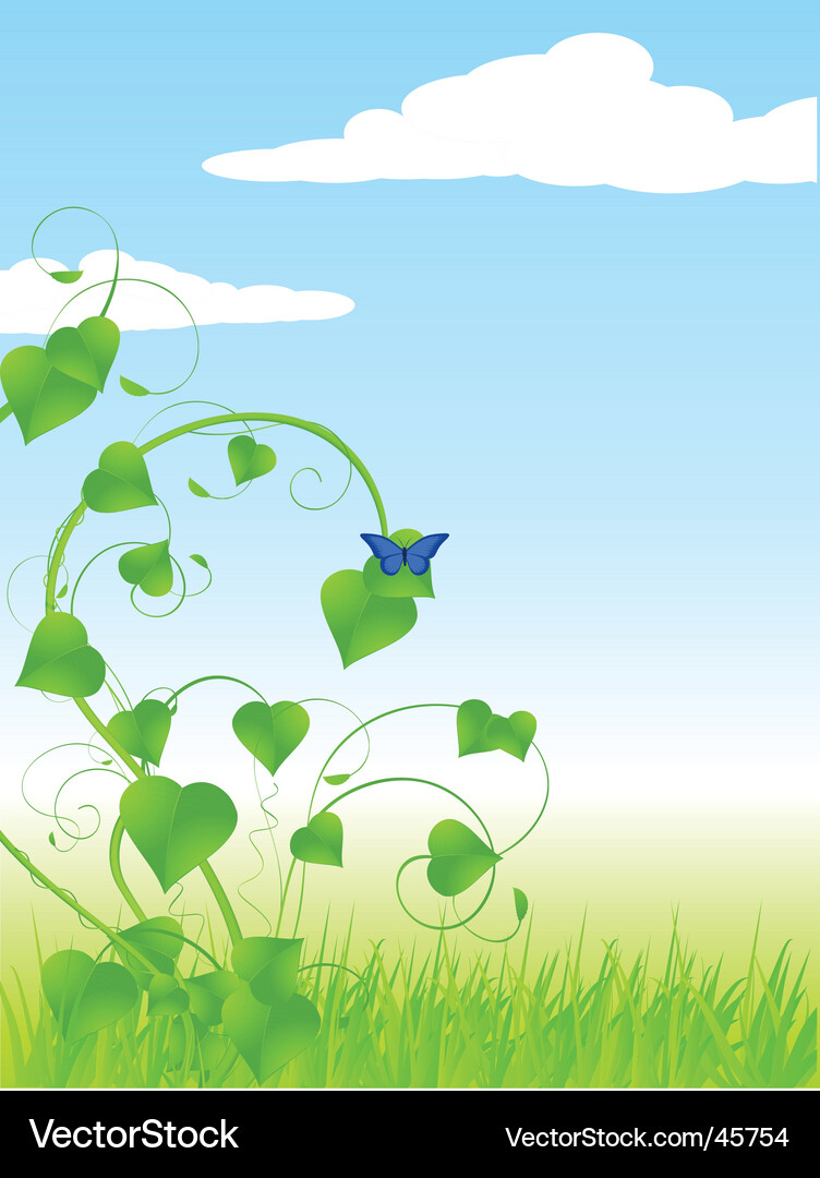 Spring vine Vector Image