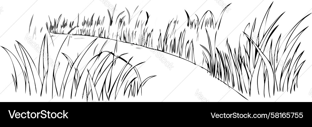 Rustic Field Path Sketch Vector Image