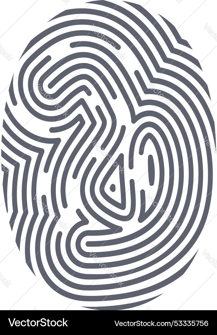 Fingerprint showing unique identity and security Fingerprint showing unique identity and security vector image