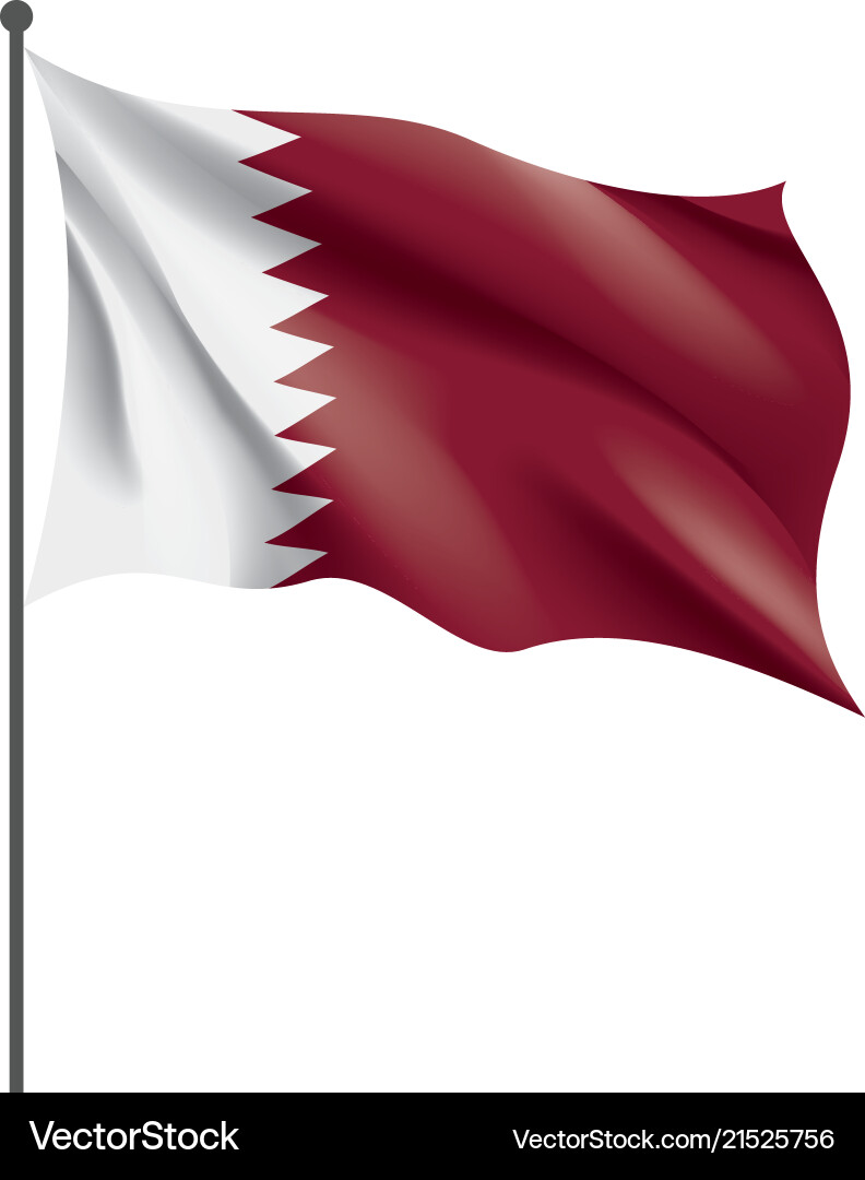 Qatar flag on a white Qatar flag on a white vector image