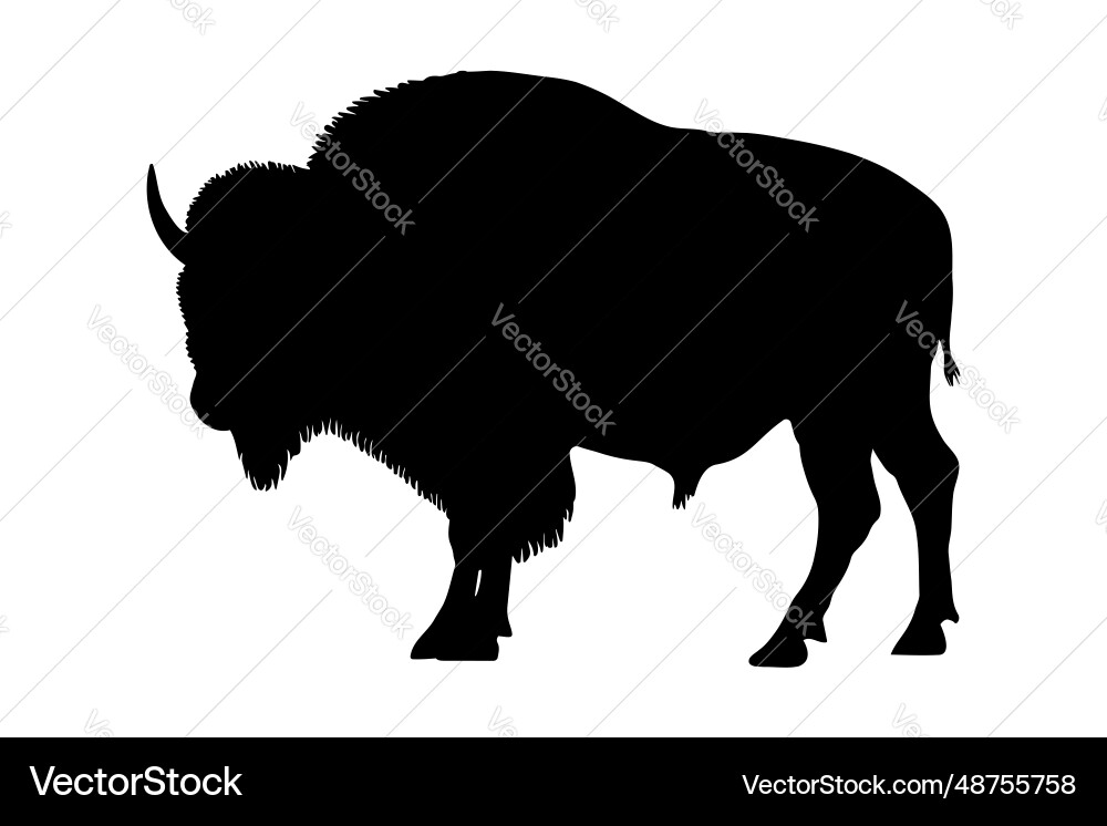 Bison Silhouette - Black Outline Vector Image