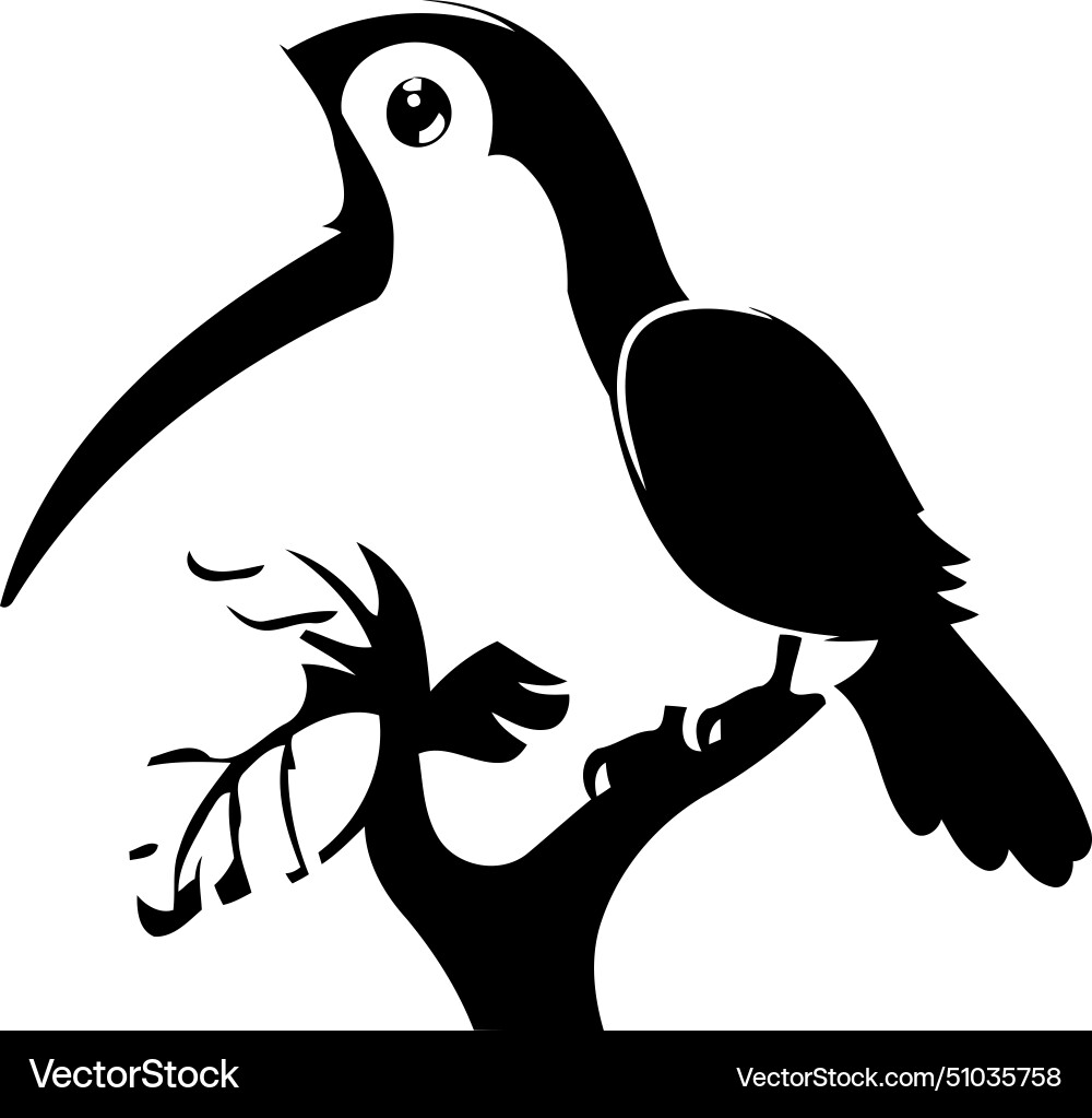 Toucan on a tree branch in flat style Vector Image