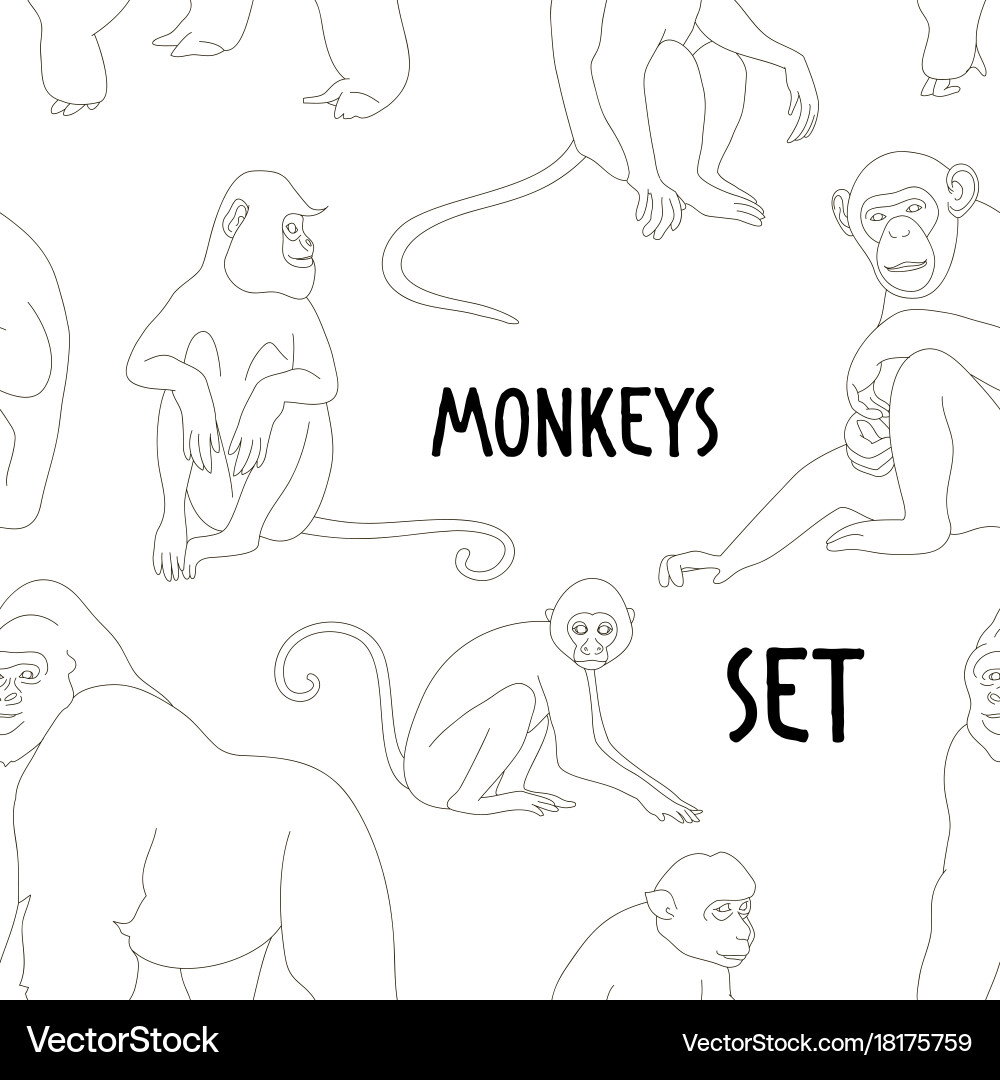 Different types of monkeys pattern vector image