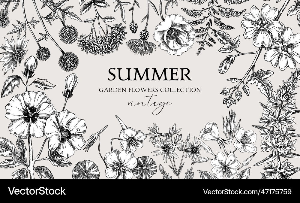 Vintage Sommer Hintergrund Garten Blumenrahmen Vintage Sommer Hintergrund Garten Blumenrahmen vektorbild