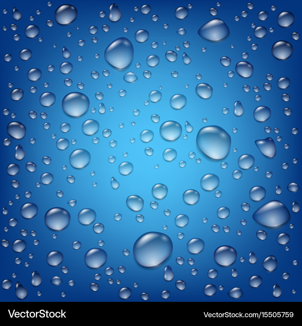 Water Drops and Raindrops Vector Image