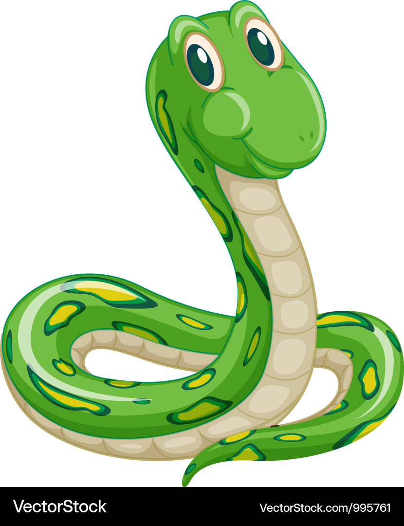 Cute Cartoon Snake Vector Image