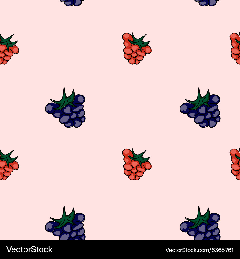 Raspberry Seamless Pattern vector image
