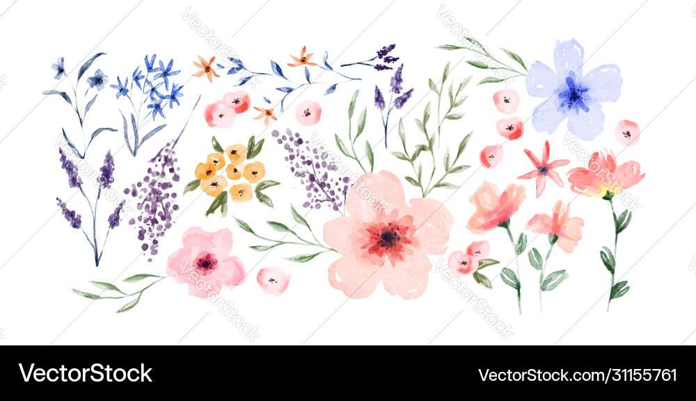 Watercolor spring flower set isolated Watercolor spring flower set isolated vector image