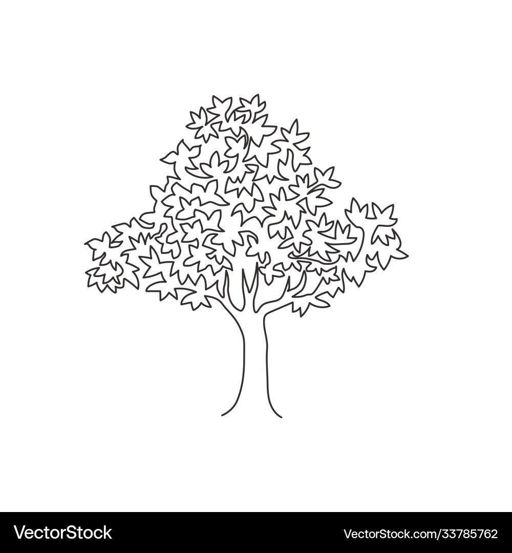 Elegant Single Line Maple Tree Vector Image