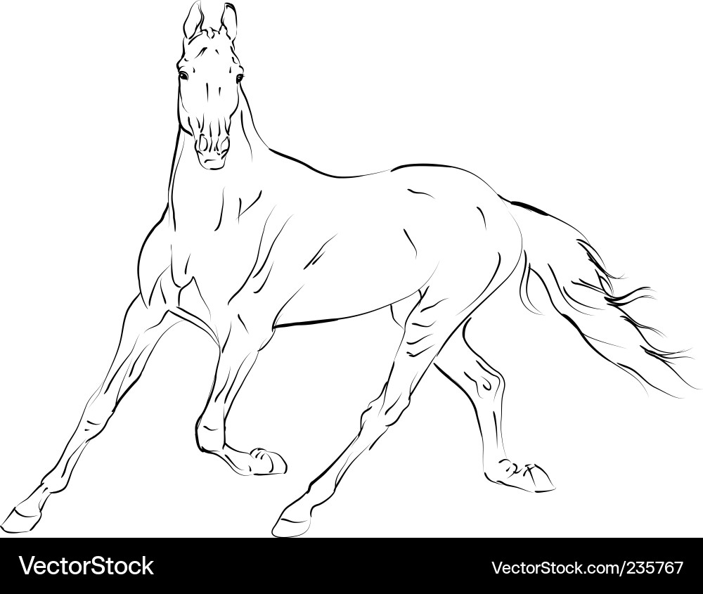 Galloping Horse Silhouette vector image