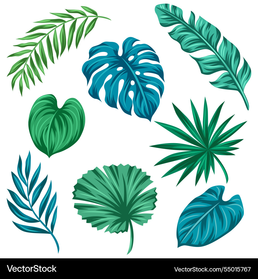 Set von stilisierten Palmblätter dekoratives Bild Set von stilisierten Palmblätter dekoratives Bild vektorbild